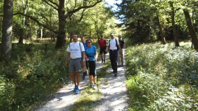 Unterwegs - unsere Begleiter im 1ten Drittel 800 x 450.jpg