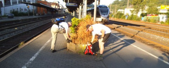 Unterwegs Ecki und Gerd am Bahnhof 800 x 322.jpg